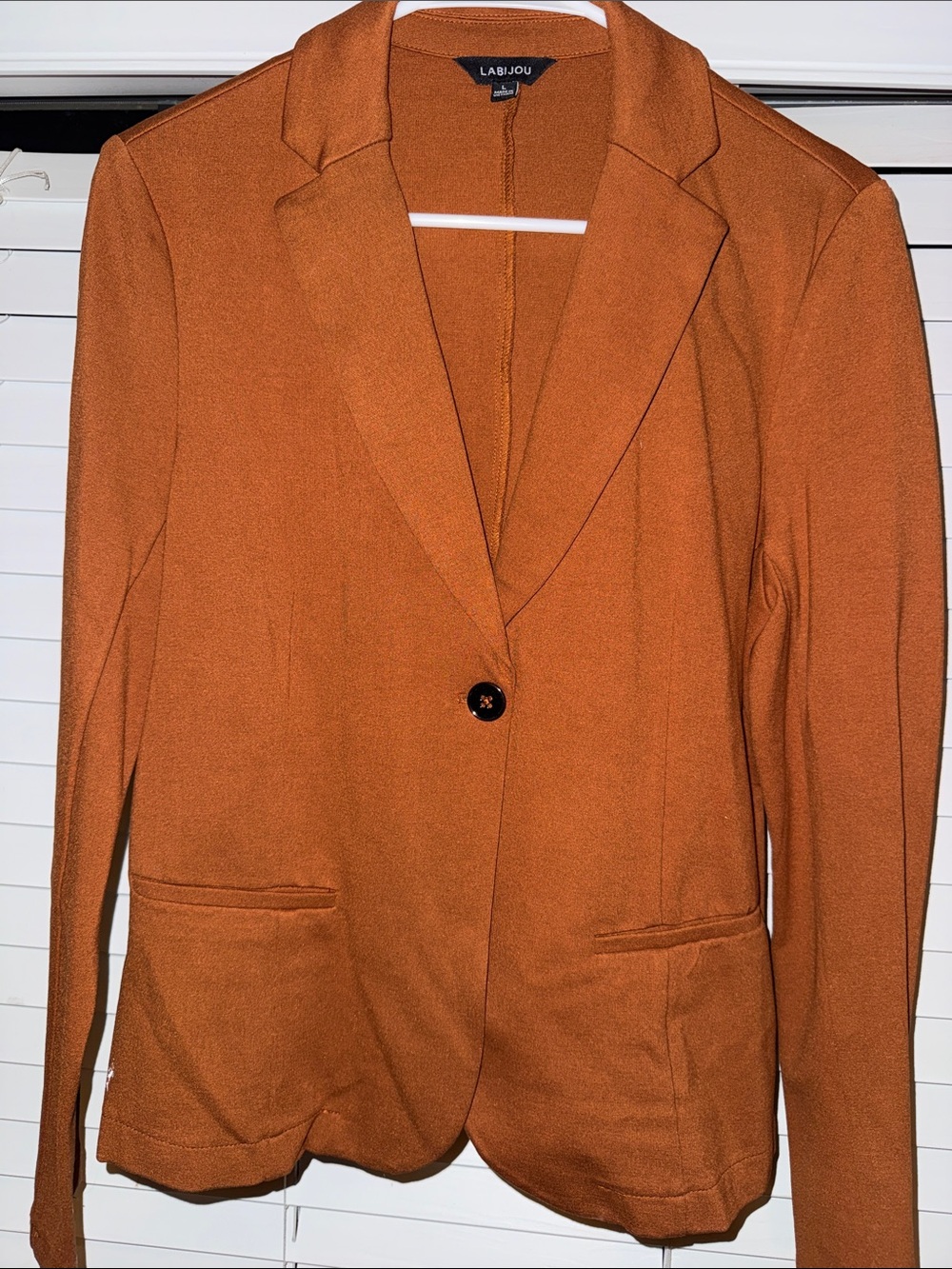 LABIJOU Men's Burnt Orange Single-Button Blazer